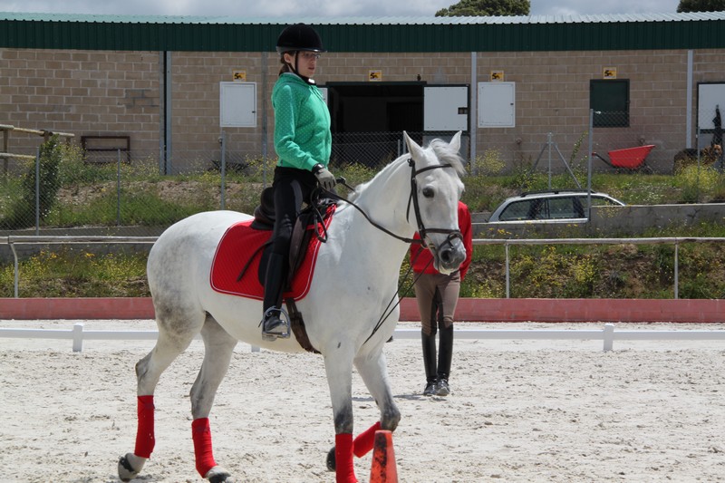 Para-ecuestre, el equipo Navarro cumplió los objetivos en Madrid